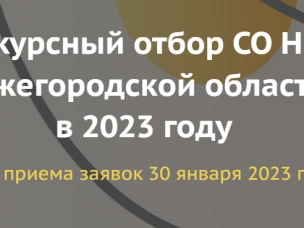 Стартует прием заявок на конкурсный отбор для предоставления грантов в форме субсидий из бюджета Нижегородской области для СОНКО